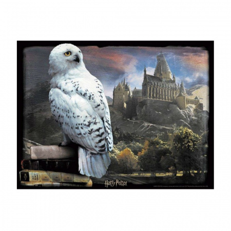 Пазлы. 500 "Harry Potter. Букля"
