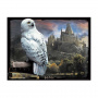 Пазлы. 500 "Harry Potter. Букля"